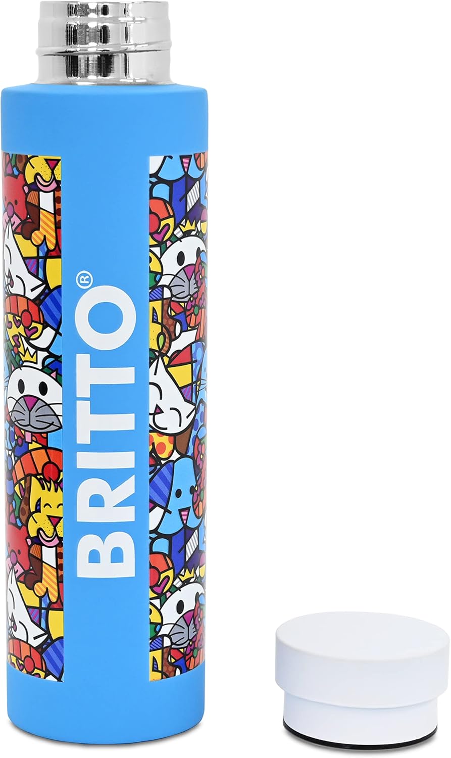 BRITTO Insulated Water Bottle - 25oz Leak Proof Stainless Steel Flask, Thermal Sports Cup, Food Grade Quality, BPA-Free, Vacuum Insulation for 24-Hour Cold & 12-Hour Hot - Best Friends Blue